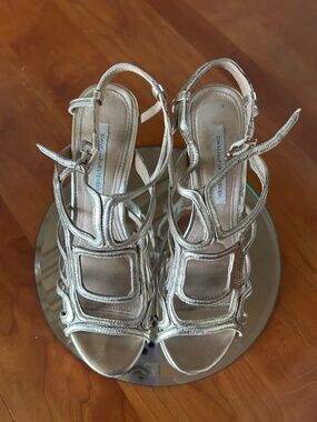 the Jeanette Gold Heels; Diane von Furstenberg; size 9; wore 3x